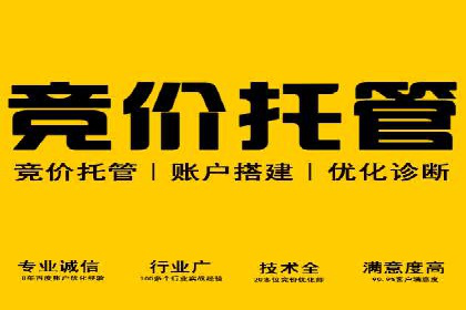 案例解析：SEM专员如何提升ROI
